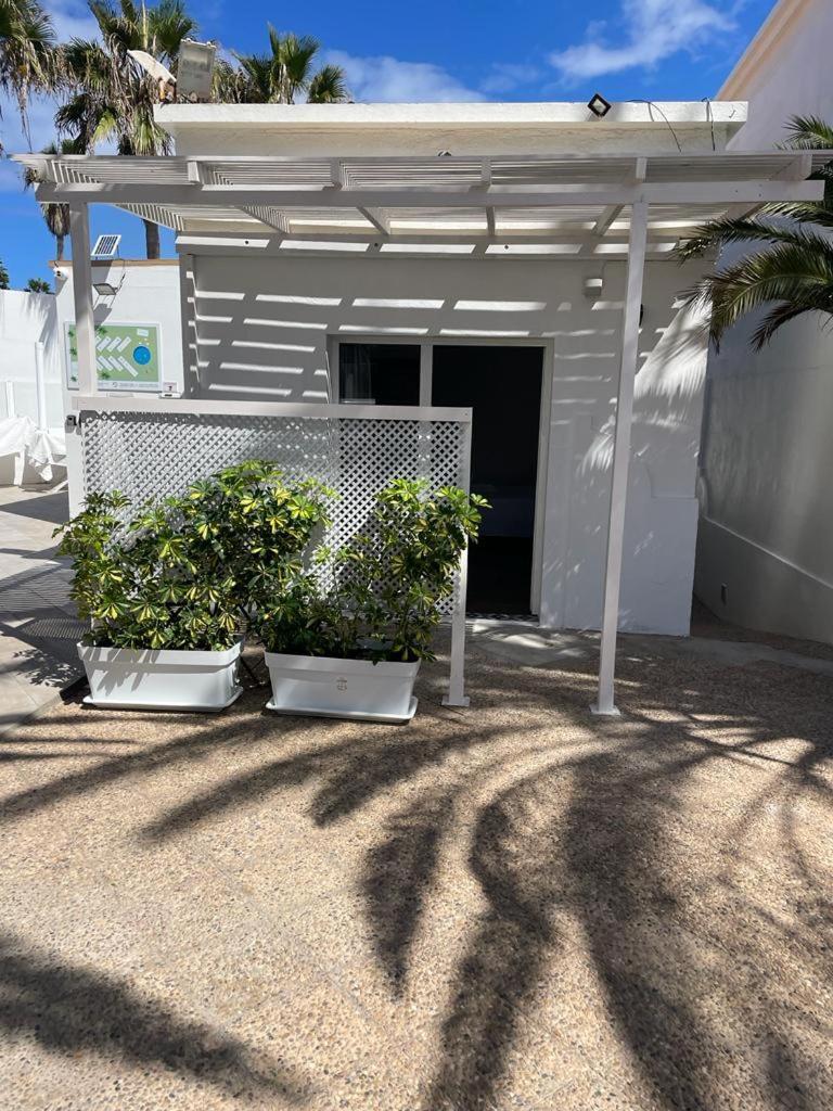 Apartamentos Punta Elena Beach Κοραλέχο Εξωτερικό φωτογραφία