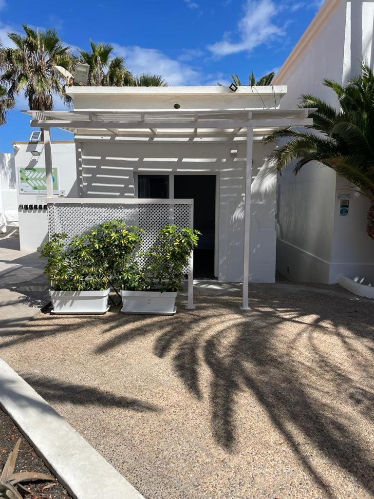 Apartamentos Punta Elena Beach Κοραλέχο Εξωτερικό φωτογραφία