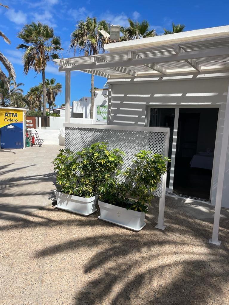 Apartamentos Punta Elena Beach Κοραλέχο Εξωτερικό φωτογραφία